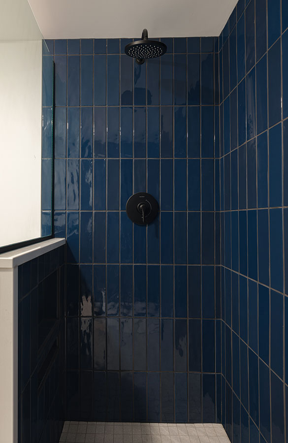 condo renovation shower