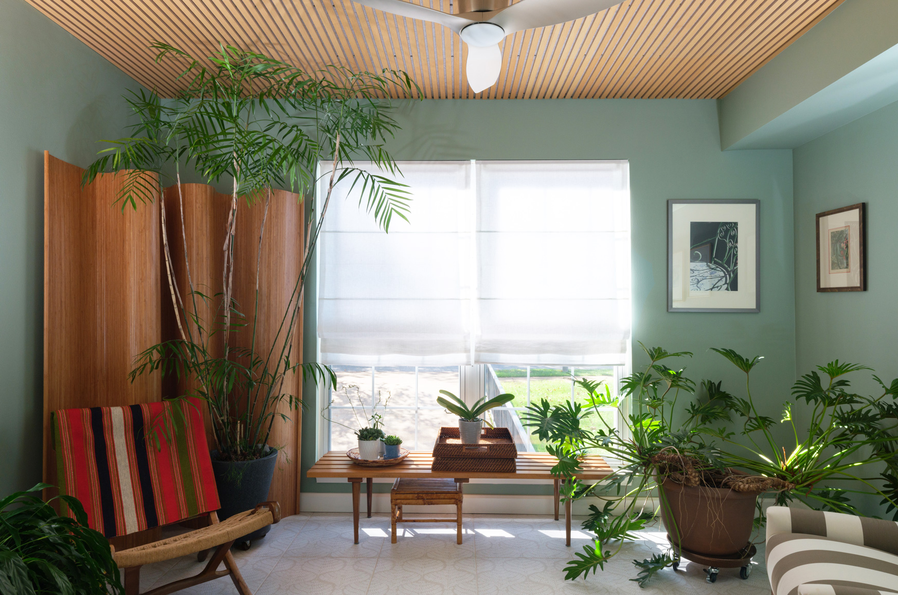 Sunroom with natural light – Bright sunroom with potted palms and natural wood accents in a Central West End multi-room remodel by Hercules Design Build, one of the leading design build firms in St. Louis.